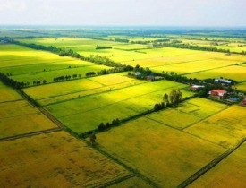 TPHCM điều chỉnh bảng giá đất: Đặt vấn đề sao cho phù hợp?