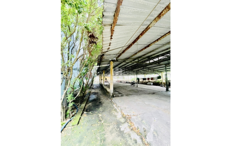 Bán biệt thự vườn mặt tiền Đỗ Đăng Tuyển, Nhuận Đức, Củ Chi, 15x80, giá 8tỷ9, mã CC010